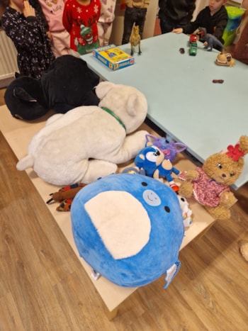 Afbeelding van WhatsApp op 2026-01-07 om 11.34.27_2999bd3e