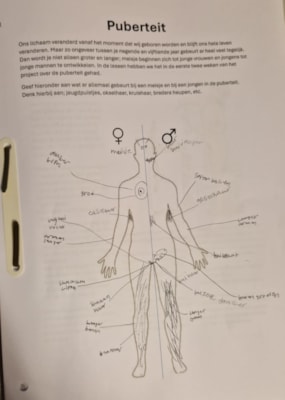 WhatsApp Image 2026-03-10 at 15.02.31